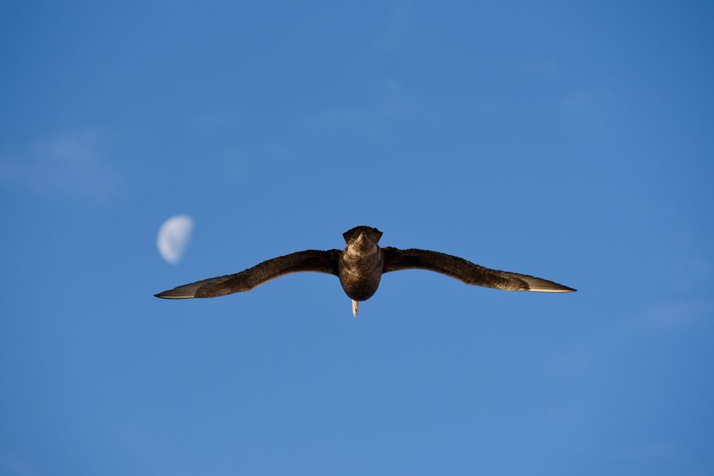 © Olivier Kaeser olivierkaeser.ch